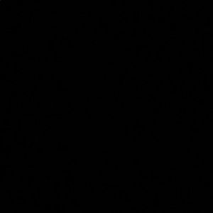 Meet your Posher, Elena